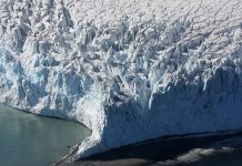 Provjera rekordnih temperatura na Antarktiku trajaće mjesecima