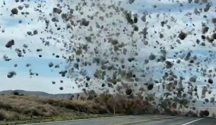 tornado