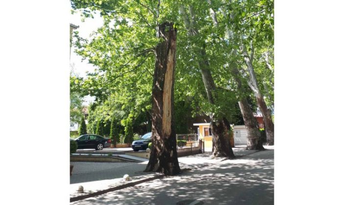 Platan 2 - Grad Mostar