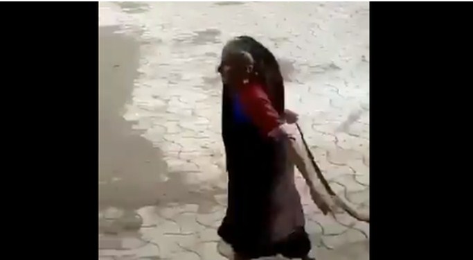 baba_kobra