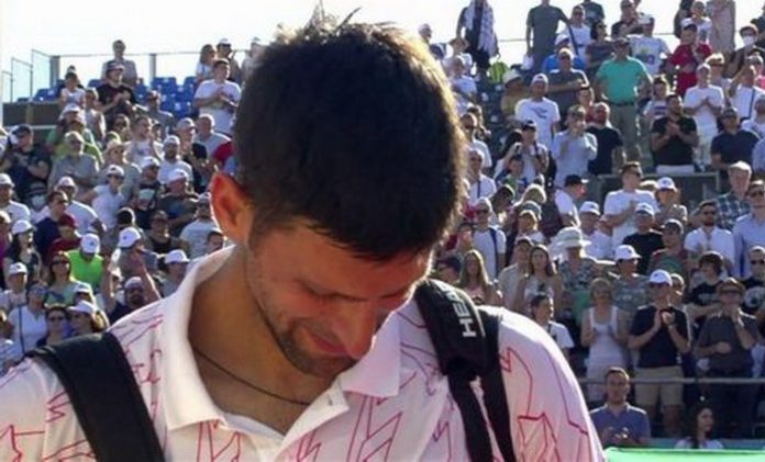 novak