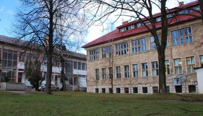 sokolac