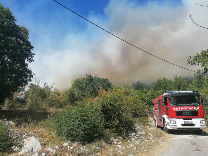 trebinje pozari 20
