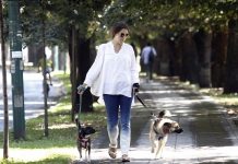 U danima pred nama proljetne temperature zraka, nakon vikenda slijedi promjena vremena