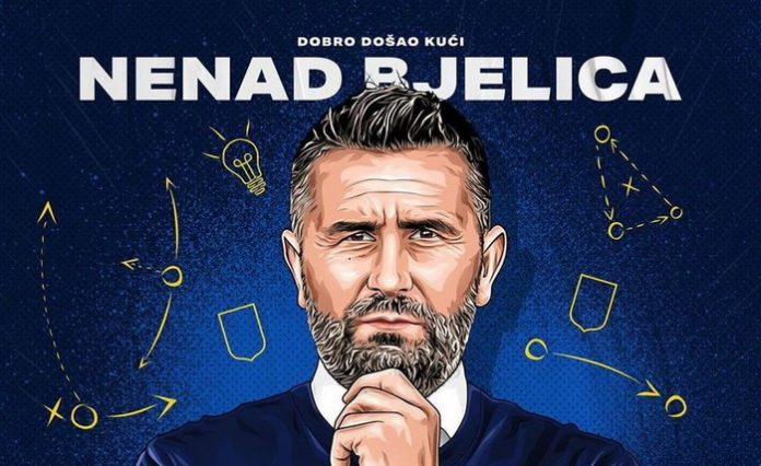 bjelica