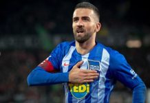 Kapa do poda, legendo: Ibišević će u Schalkeu igrati besplatno