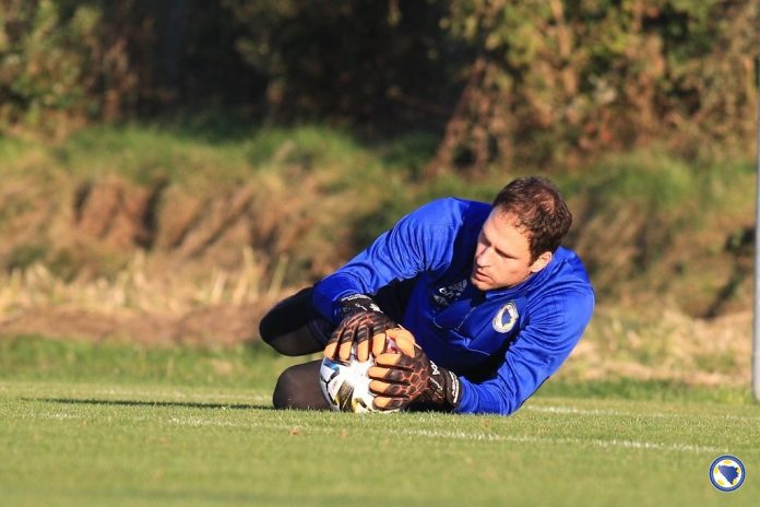 asmir begovic bih