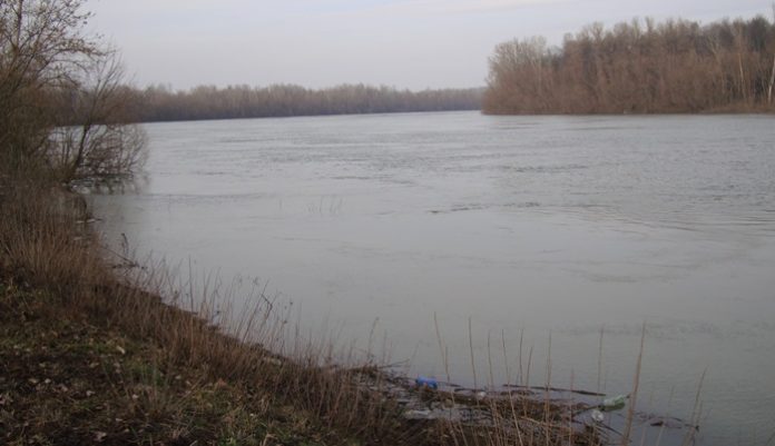 DSC01251