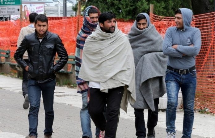 migranti