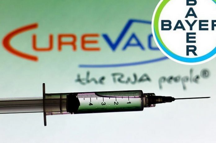 bayer