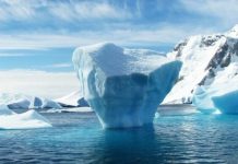 Misteriozni oblici života pronađeni su u dubinama ispod Antarktika