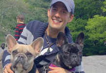 Šetač pasa Lady Gage se oporavlja, pronađena dva ukadena buldoga