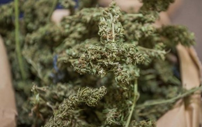 marihuana