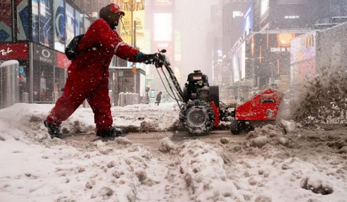new york zima