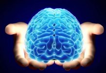 Usvajanjem ovih zdravih navika vaš mozak može biti mlađi i do 8 godina