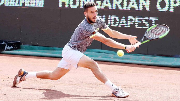Damir-Dzumhur