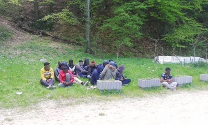 Krijumcareni migranti (2)