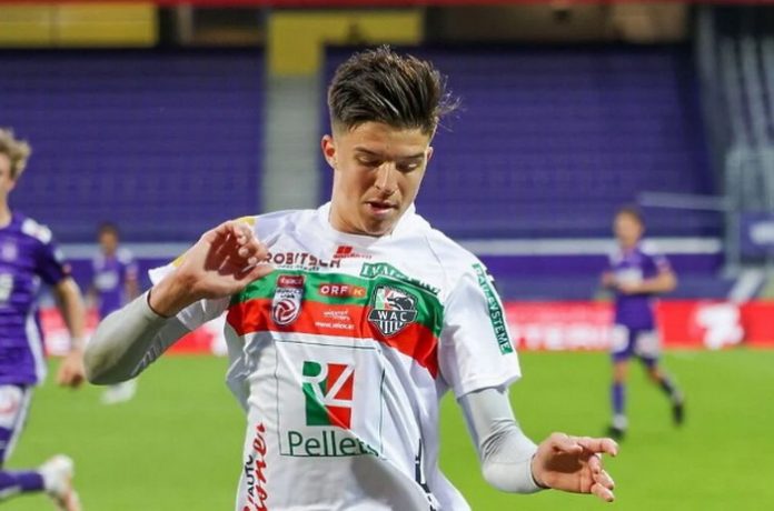 tarik muharemovic