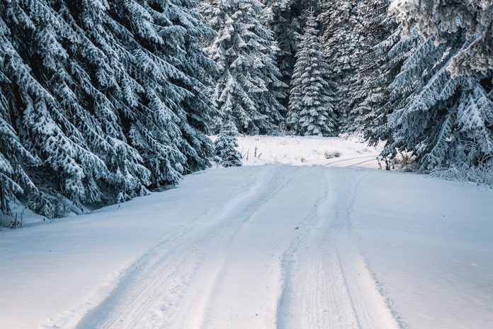 20211223155552_697475