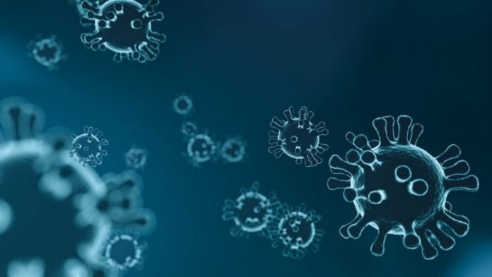 1647241974-1641283191-virus-g4a0452432_1280-e1641283214732-900x506-750x422