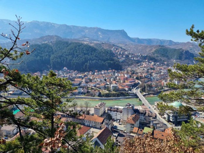 vrtaljica konjic_2