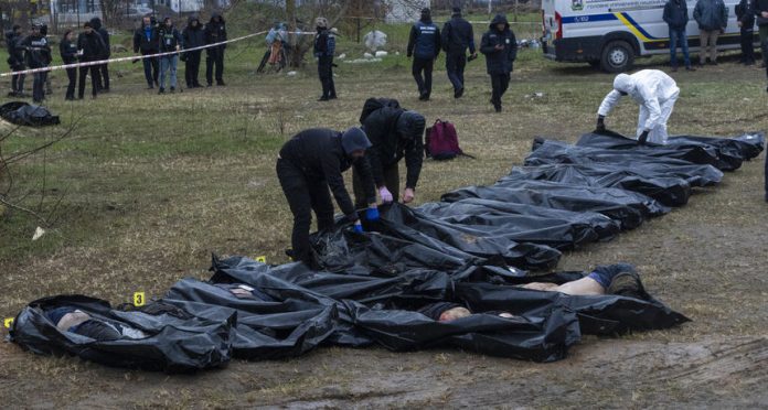 2e339ae4e72818a14665b5c0ef13d0b2_view_article_new