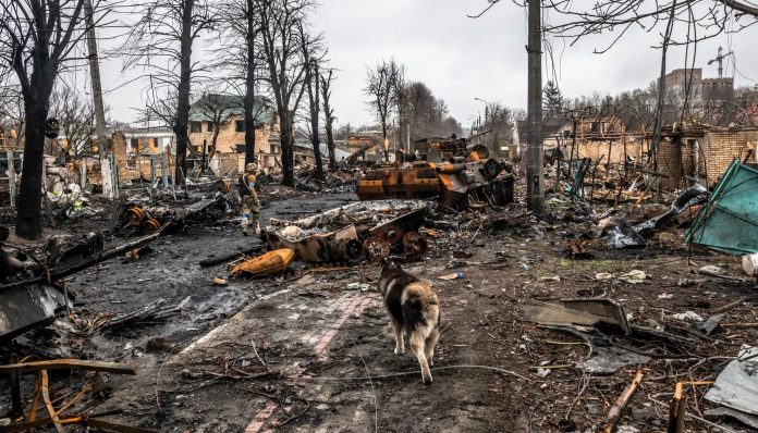 merlin_204873441_eb005a54-9a53-4405-9fa7-3755f5ca0834-superJumbo