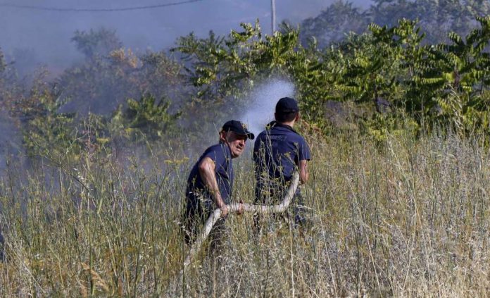 l_376bcf8ab6084e853ae07560e2a4dd7d