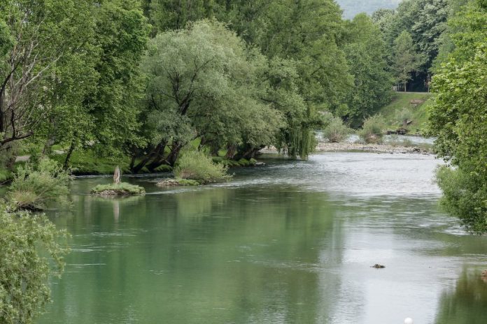 vrbas