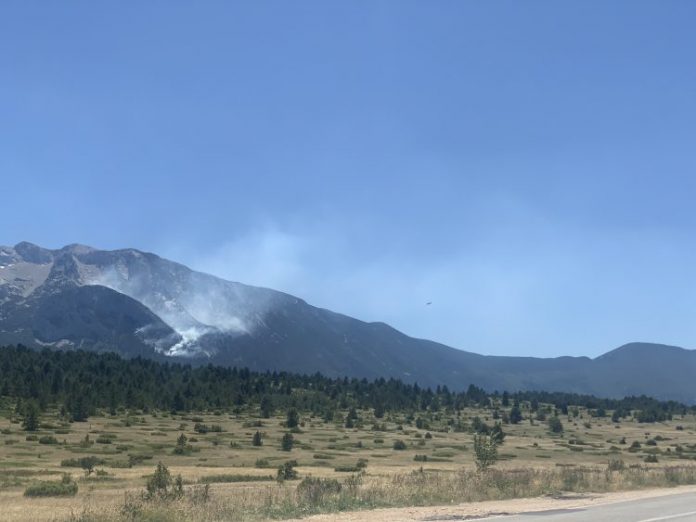 1658228613-image00004-750x563