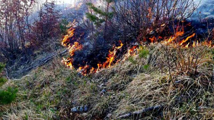 l_f02e76b43c12b74a44e14ce435ca3ca4