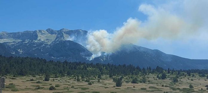 l_fbd495b074e37a1ddb77c449f00b8439