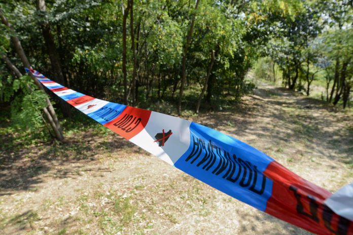 srbija policija