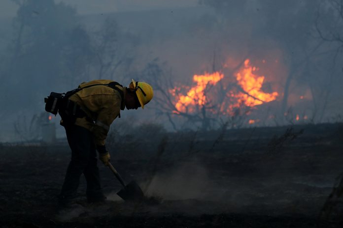 A firefighter works to put out hot spots on a fast moving wind driven wildfire in Orange, California