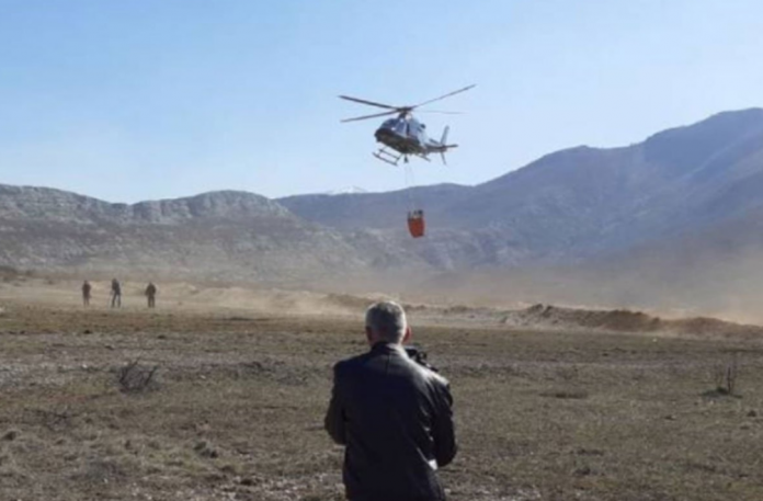 capture-20220809-151811