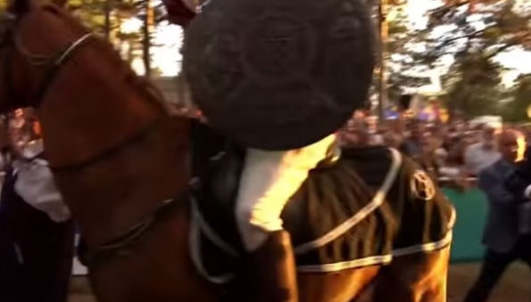 konja