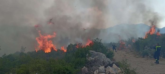 l_38781a9b297f35ef45da03fba828f5c4