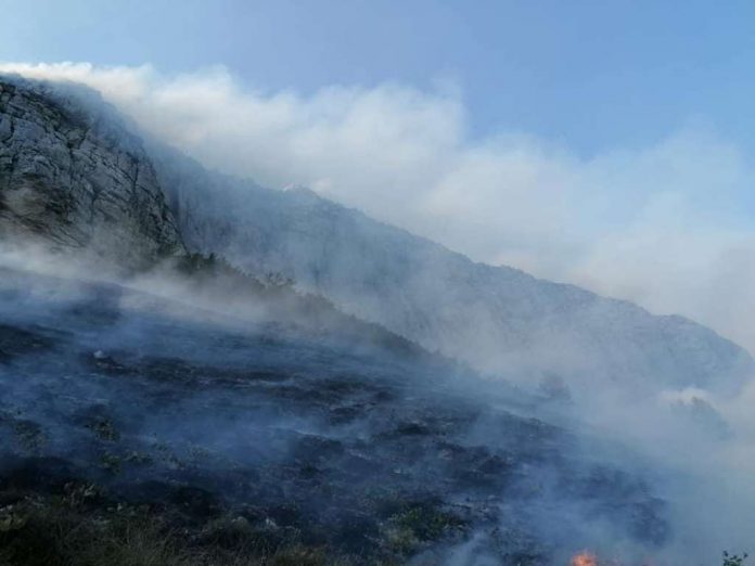 l_84cc7e330adb22775f0fe9c843670cfd