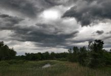 U BiH tokom naredna tri dana umjereno do pretežno oblačno vrijeme, u srijedu se očekuje kiša