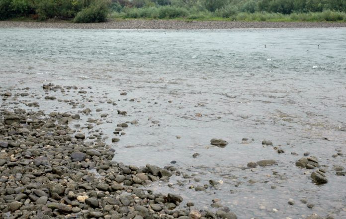 Drina-foto-v-mitric
