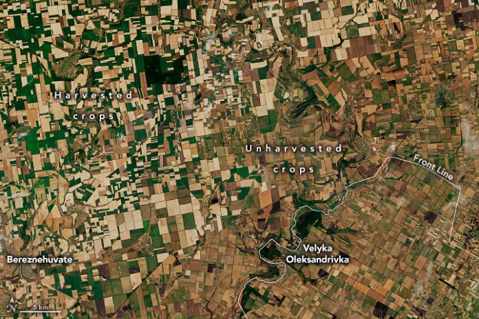 1670138553-Image2_ukraine_oli_2022197