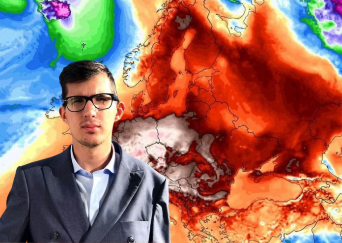 nedim sladic