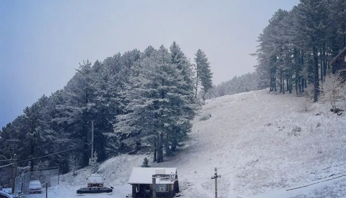 326528911_1565020747258373_3165834646723070270_n