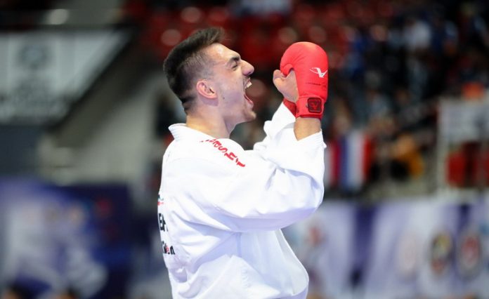 anel bostandzic