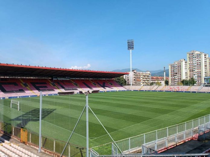 zenica fena