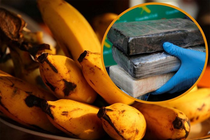 banane-kokain