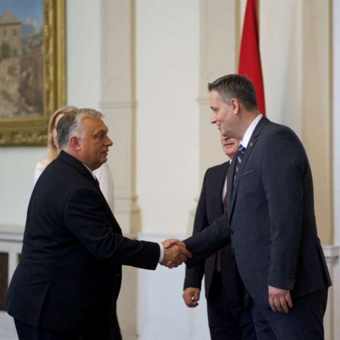 bećirović orban