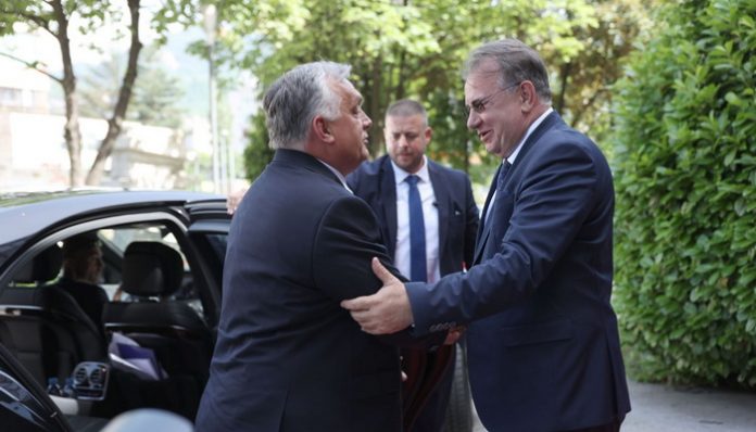 niksic orban_2