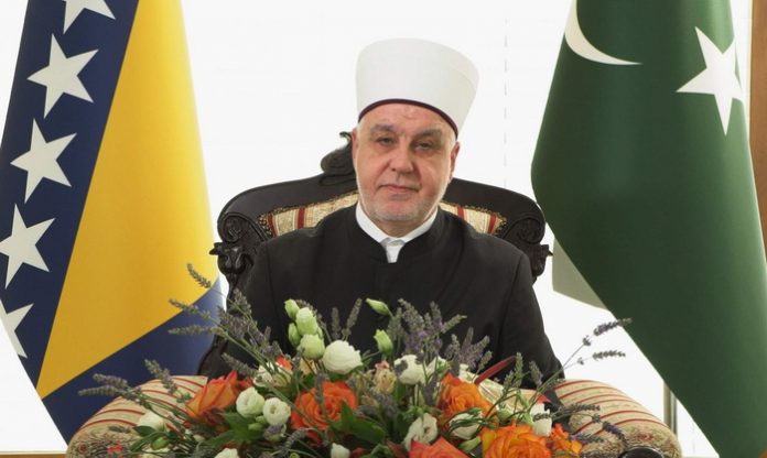 reis kavazovic