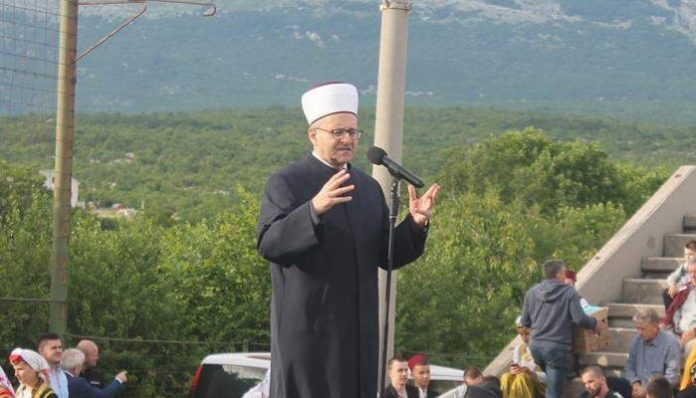 salem ef dedovic putevima pob